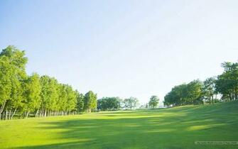 Netgrassland Lush Trees In Sunny Day No Desktop Wallpaper