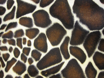 Animal Fur Wallpaper On