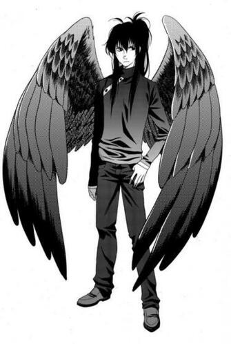 Maximum Ride Manga Image Maximumrider HD Wallpaper