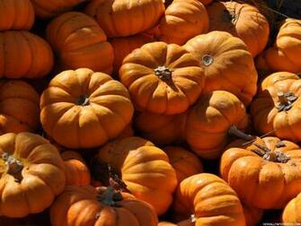 Autumn Pumpkin Wallpaper HD