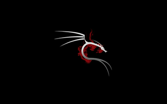 Msi Dragon Wallpaper HD