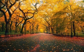 Late Autumn Desktop Themes HD Wallpaper Widescreen