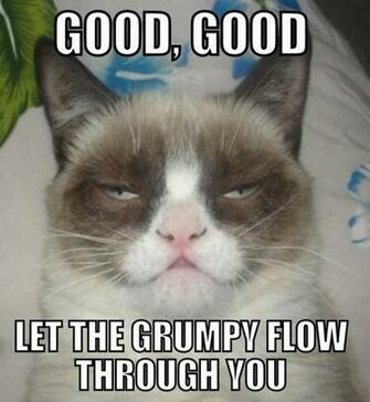 Trending Grumpy Cat Meme Good