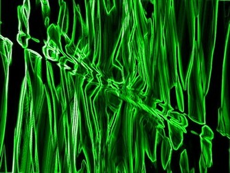 Cool Green Neon Background Image Pictures Becuo