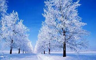 Desktop Wallpaper Winter Scenes In HD