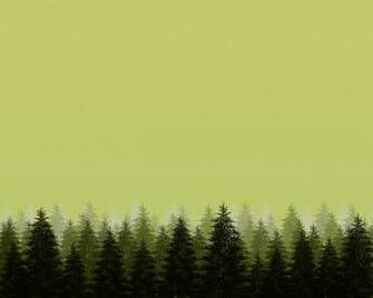 Pine Forest By Softwalls