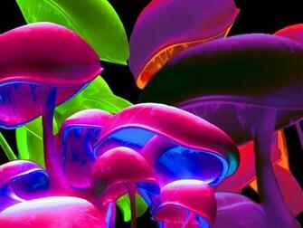 Neon Color Mushrooms Graphics Code Comments