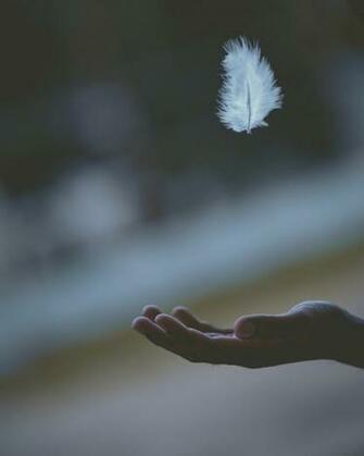 Peace Pictures Image