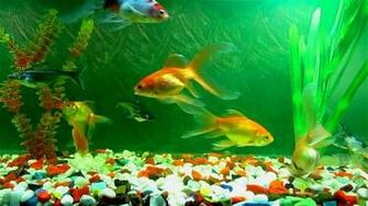 Moving Aquarium Wallpaper
