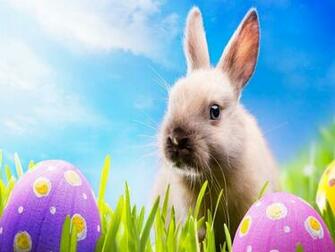 Wallpaper Background Rabbit Easter Eggs iPad