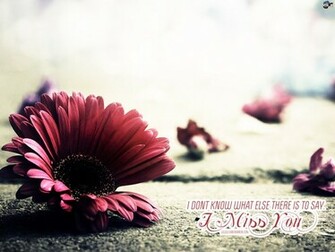 Miss You Wallpaper