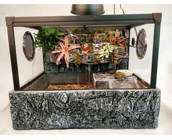 Vivarium Paludarium Aquarium Turtle Tank With Background Uva Light