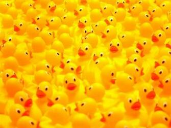 Rubber Ducky Wallpaper