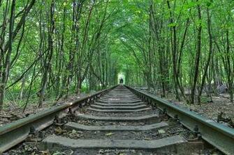 Tunnel Of Love Ukraine Wallpaper