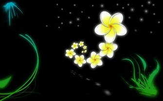 Frangipani Flowers Wallpaper