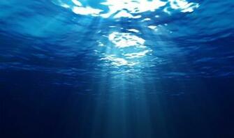 Deep Ocean Fish Pictures For Your Project On Animal