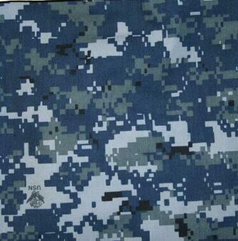 The Army Corrects Its Camouflage And Musings On Mimetics Update