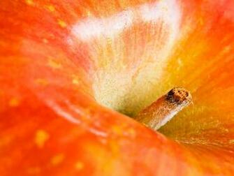 Desktop Orange Wallpaper Background HD Jpg