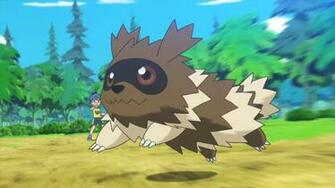 Day Zigzagoon