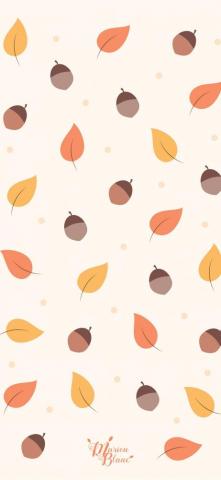 Best Fall iPhone HD Wallpaper