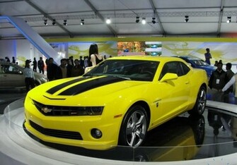Bumblebee Wallpaper HD