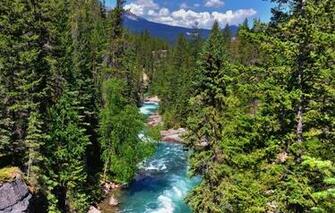 Jasper National Park Alberta Canada Mountains Forest Trees River