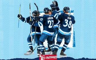 Wallpaper Manitoba Moose