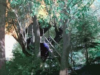 Tree House Wallpaper And Image