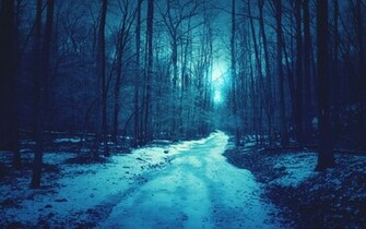 Forest Path HD Wallpaper Theme Bin Customization