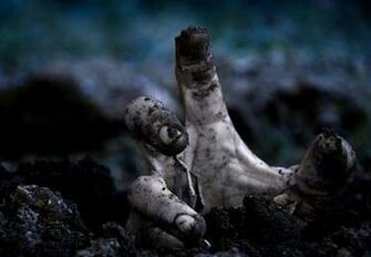 Zombie Wallpaper Background