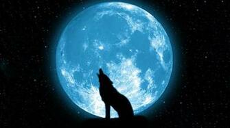 3d Wolf Computer Wallpaper Themes