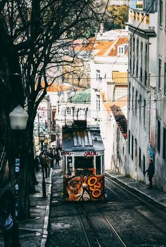 HD Wallpaper Elevador Brown Ad Gray Train Beside Tree City