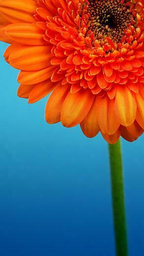 Nokia Lumia Wallpaper Full HD