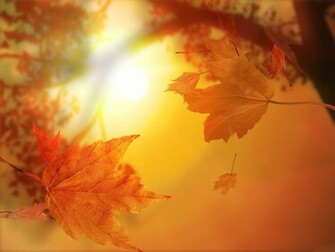 HD Wallpaper Desktop Background Computers Windows Farewell Fall