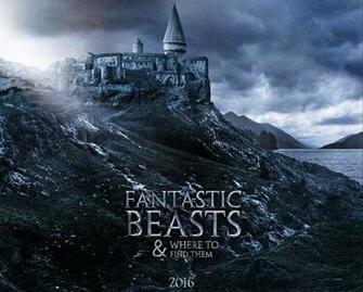Fantastic Beasts And Where To Find Them Wallpaper Movie Eddie