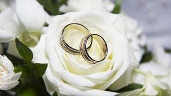 Beautiful White Roses And Wedding Rings Wallpaper Image