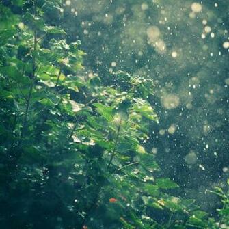 Summer Sunny Day iPad Air Wallpaper iPhone