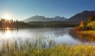 Freshwater Ponds Lakes Lessons Tes Teach