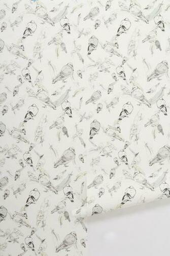 Aviary Wallpaper Anthropologie Papiers Peints