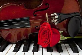 Violin And Rose On Piano By Garry Gay