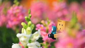 Cute Background Wallpaper Pc Danbo Cool