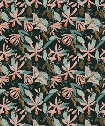 Vanilla Moth Fresh Motif Wallpaper Colorful Fun Milton King