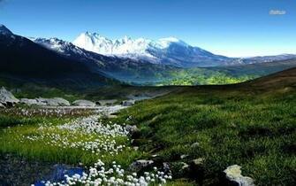 Spring In The Mountains Wallpaper Nature