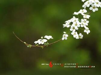 Crosscards Wallpaper Monthly Calendars