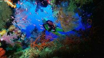 Scuba Diving Wallpaper