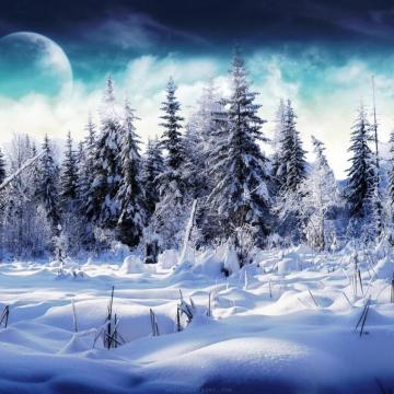 iPad Wallpaper Christmas Winter