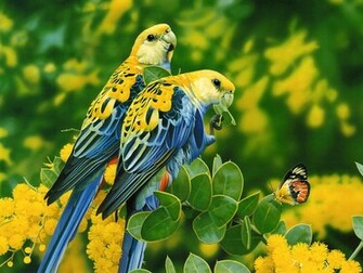 Love Birds Wallpaper Desktop