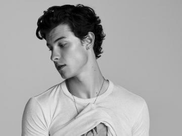 Shawn Mendes HD Wallpaper Background Image