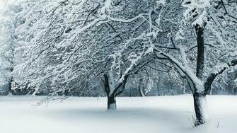 Snow Fallen Ohio Cleveland Wallpaper