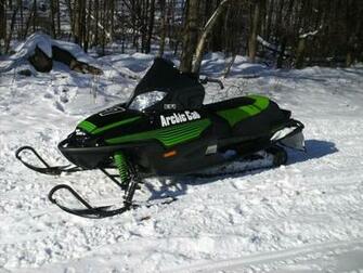 Arctic Cat Wallpaper